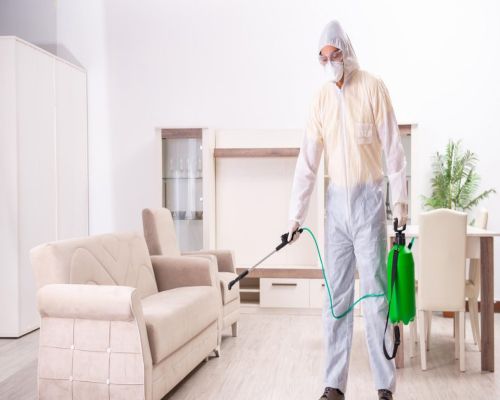 شركة مكافحة الحشرات بتاروت القطيف