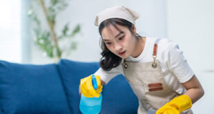 حراج شغالات بالشهر