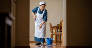 شغالات بالشهر ابها